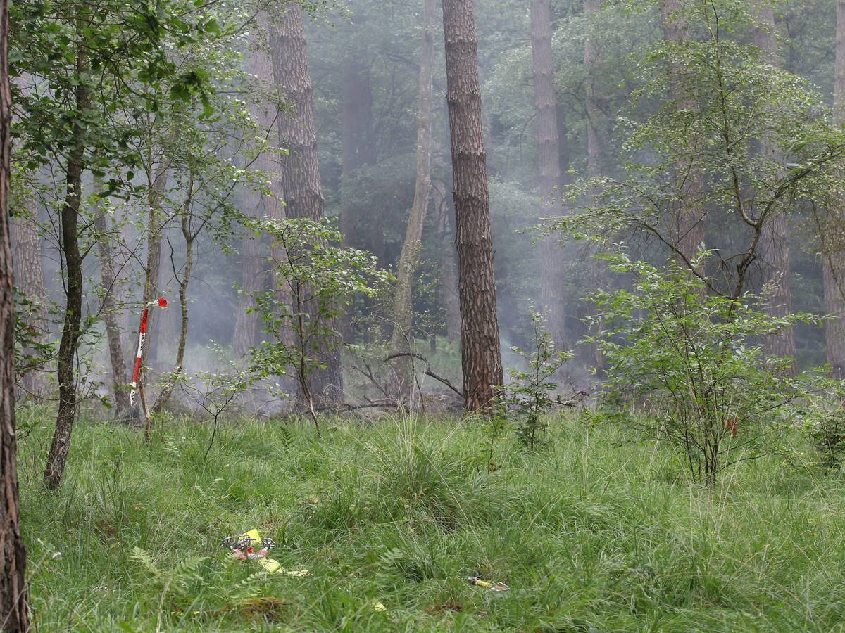 Rauchschwaden ziehen durch die Bäume in der Wahner Heide. Östlich von Köln kämpfte die Feuerwehr gegen einen Waldbrand an.
