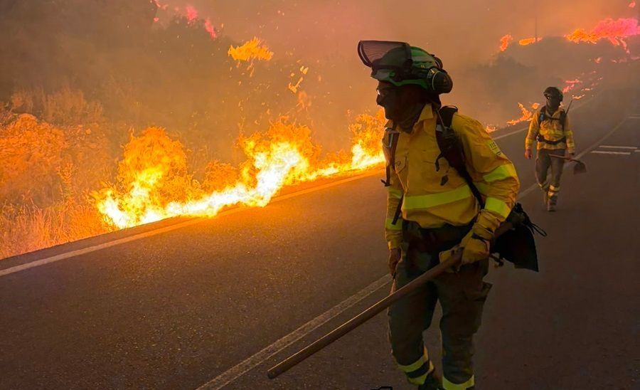Einsatzkräfte von Infoca bekämpfen die Flammen in Los Gallardos. Der Waldbrand in Almería gilt als der bislang schwerste in Andalusien