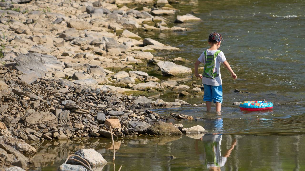 Kinder laufen bei Niedrigwasser über die Hungersteine der Ahr bei Laach.