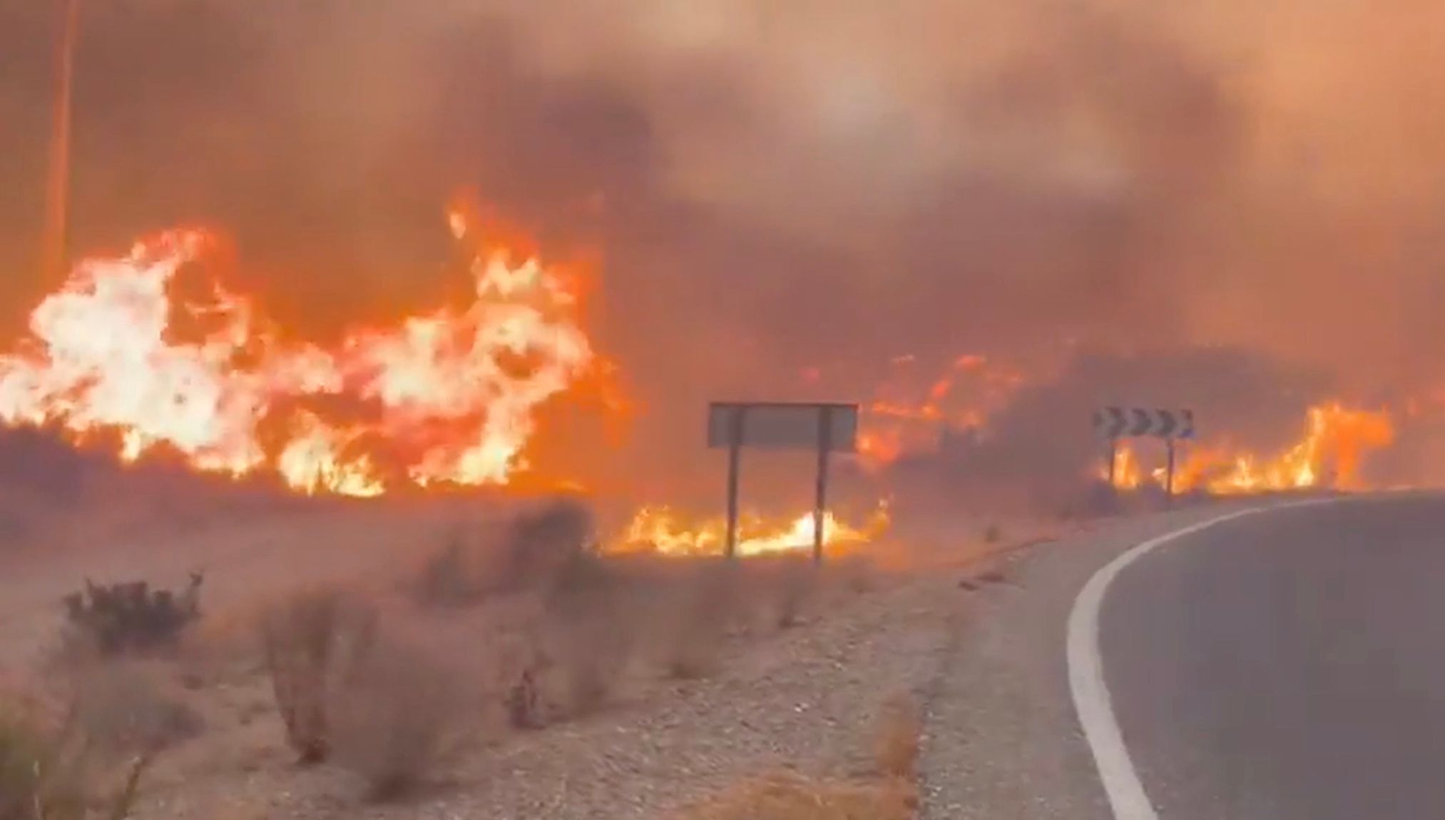 Screenshot aus einem Video, das einen Teil des Waldbrands in Andalusien zeigt. Der Waldbrand in Almería gilt als der bislang schwerste in Spanien – es gibt zahlreiche Tote und Verletzte.