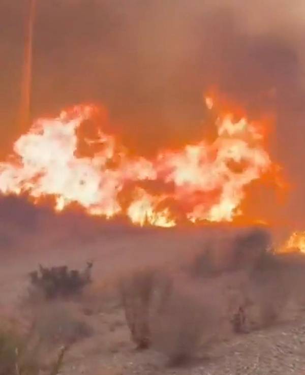 Screenshot aus einem Video, das einen Teil des Waldbrands in Andalusien zeigt. Der Waldbrand in Almería gilt als der bislang schwerste in Spanien – es gibt zahlreiche Tote und Verletzte.