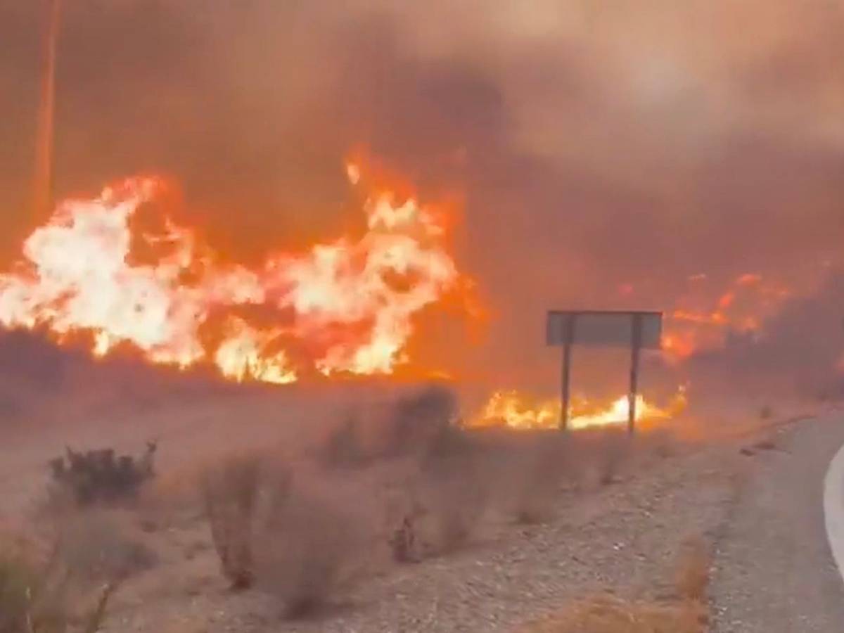 Screenshot aus einem Video, das einen Teil des Waldbrands in Andalusien zeigt. Der Waldbrand in Almería gilt als der bislang schwerste in Spanien – es gibt zahlreiche Tote und Verletzte.