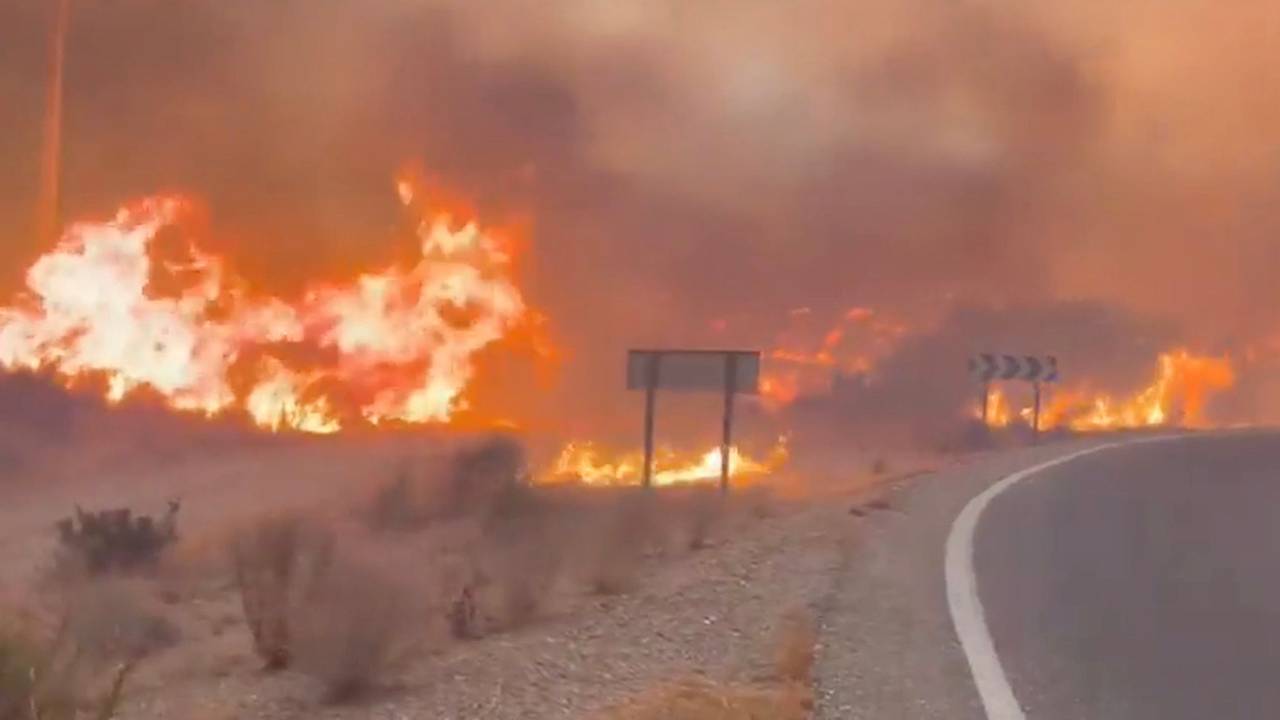 Screenshot aus einem Video, das einen Teil des Waldbrands in Andalusien zeigt. Der Waldbrand in Almería gilt als der bislang schwerste in Spanien – es gibt zahlreiche Tote und Verletzte.