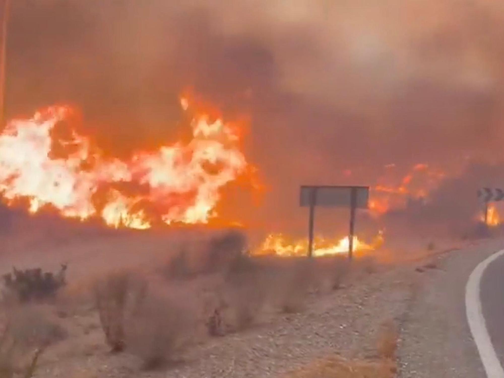 Screenshot aus einem Video, das einen Teil des Waldbrands in Andalusien zeigt. Der Waldbrand in Almería gilt als der bislang schwerste in Spanien – es gibt zahlreiche Tote und Verletzte.
