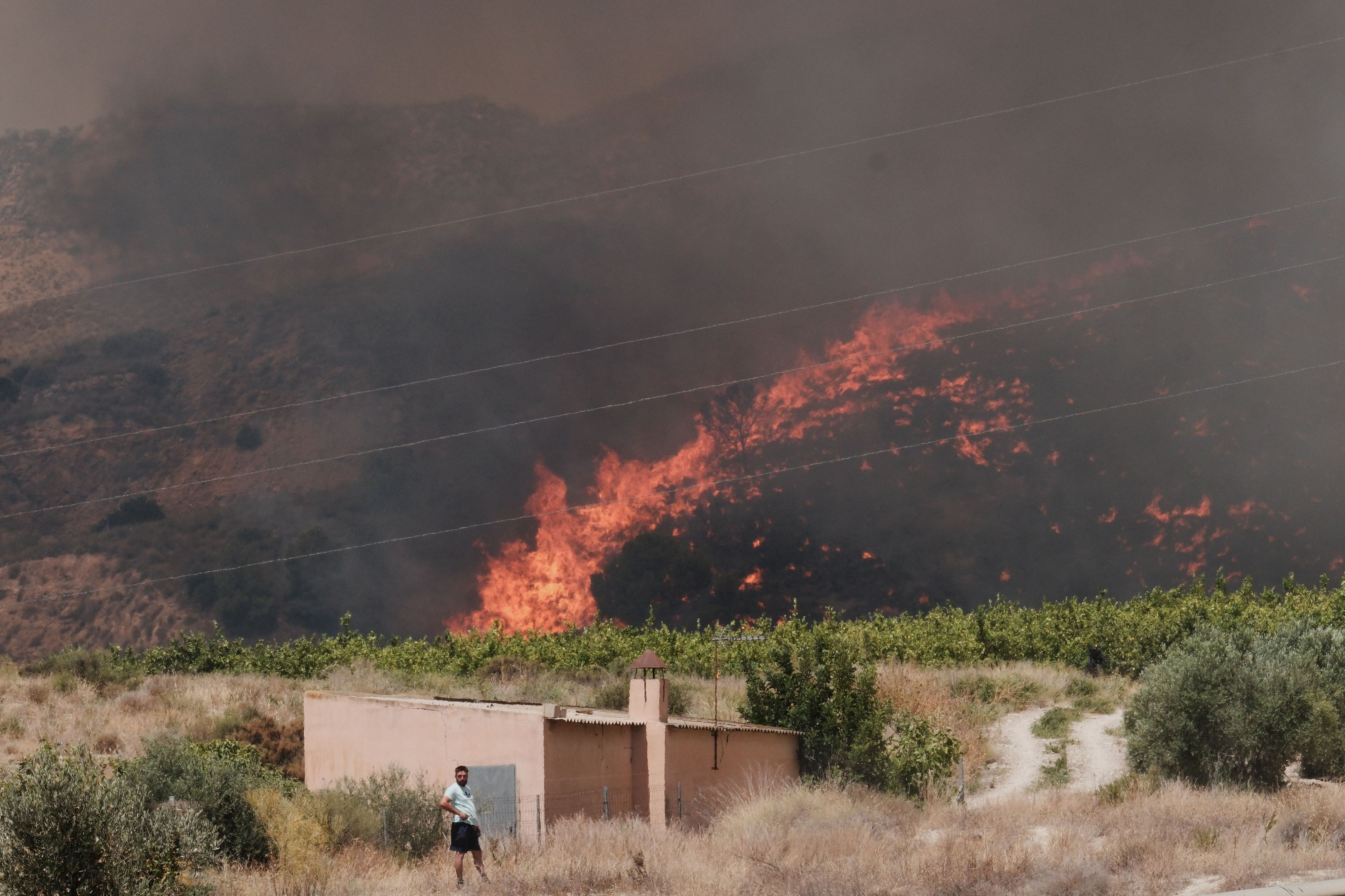 In der Nähe von Almería im Südosten Spaniens wütet ein Waldbrand.