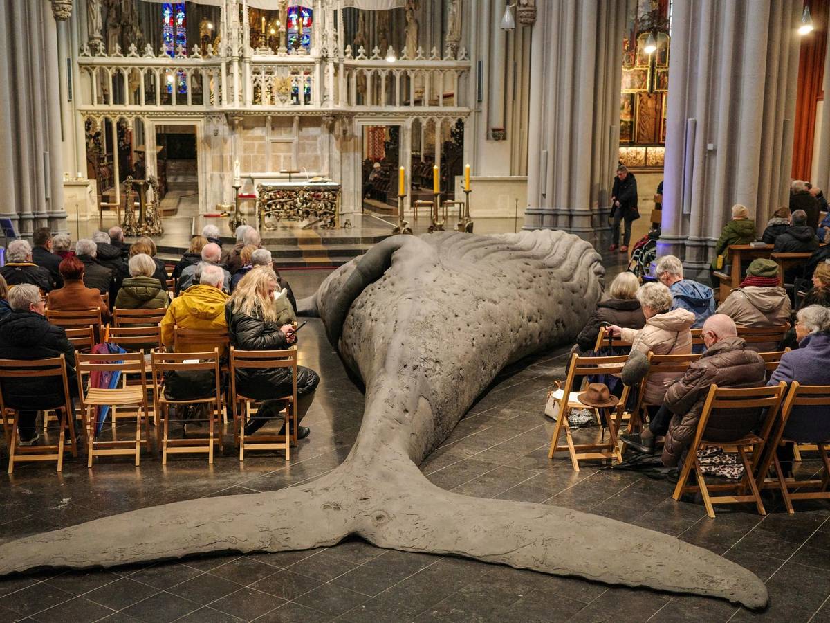 Wal-Skulptur des Bildhauers Gil Shachar