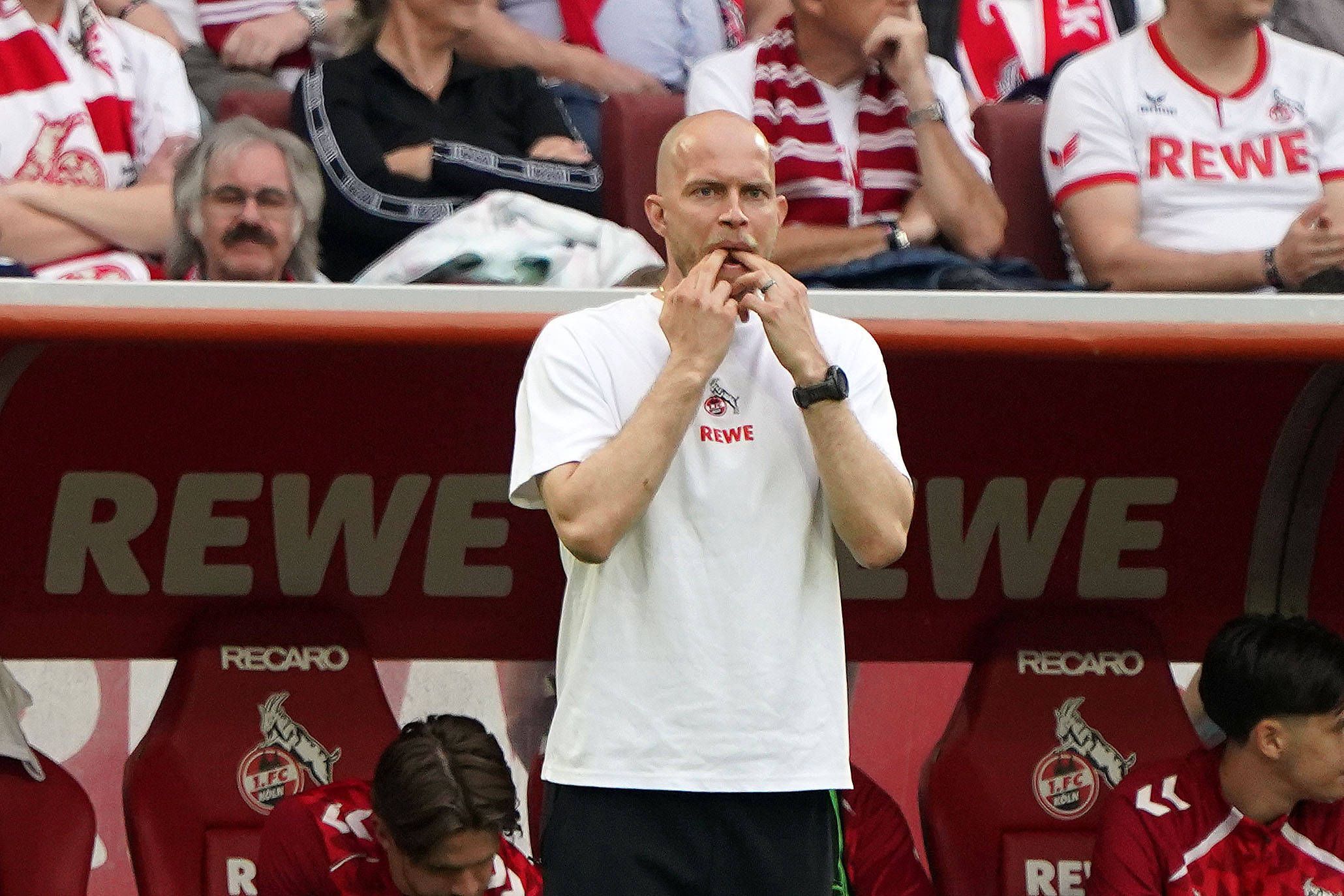 René Wagner an der Seitenlinie beim 1. FC Köln.