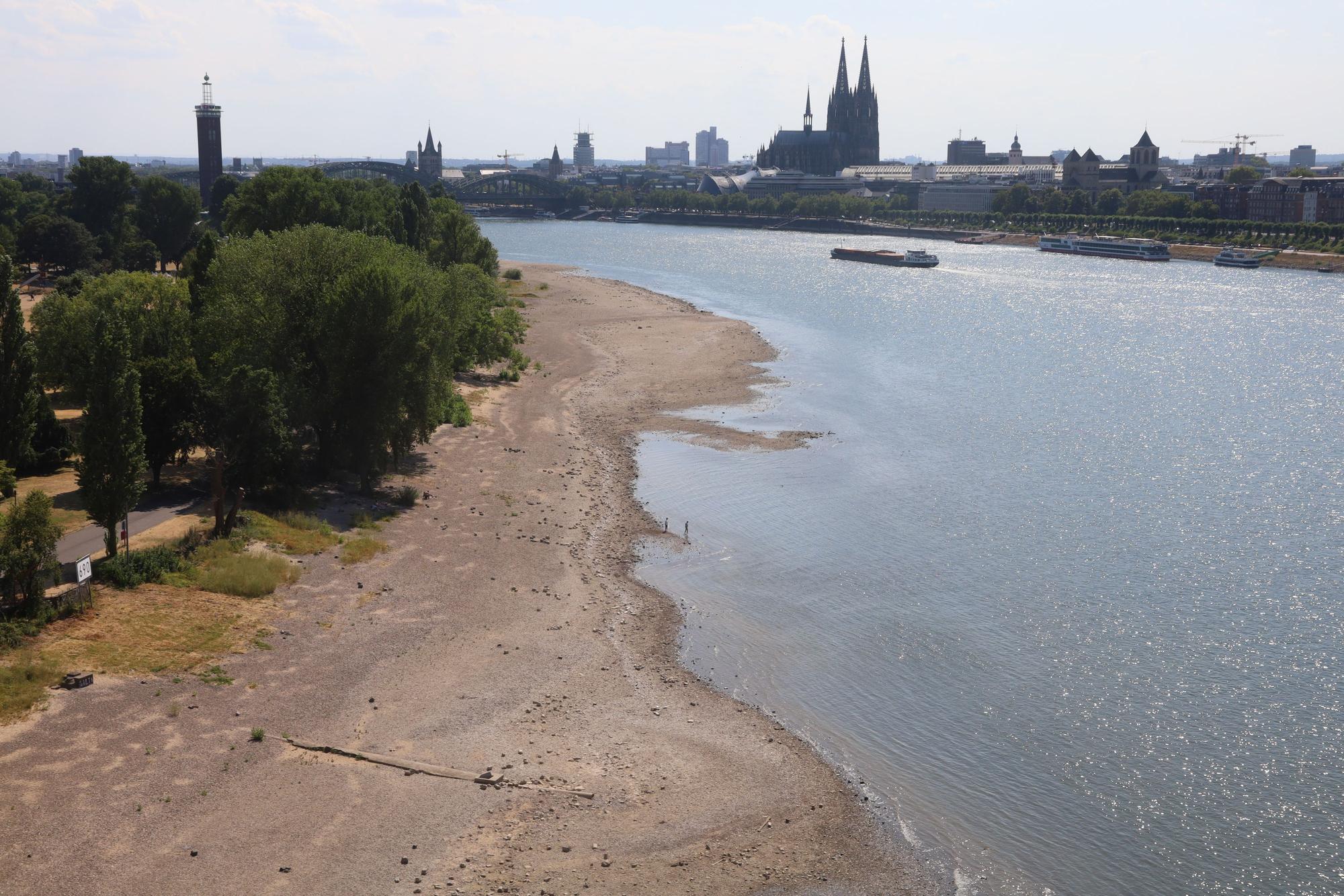 Der Rhein führt wenig Wasser.