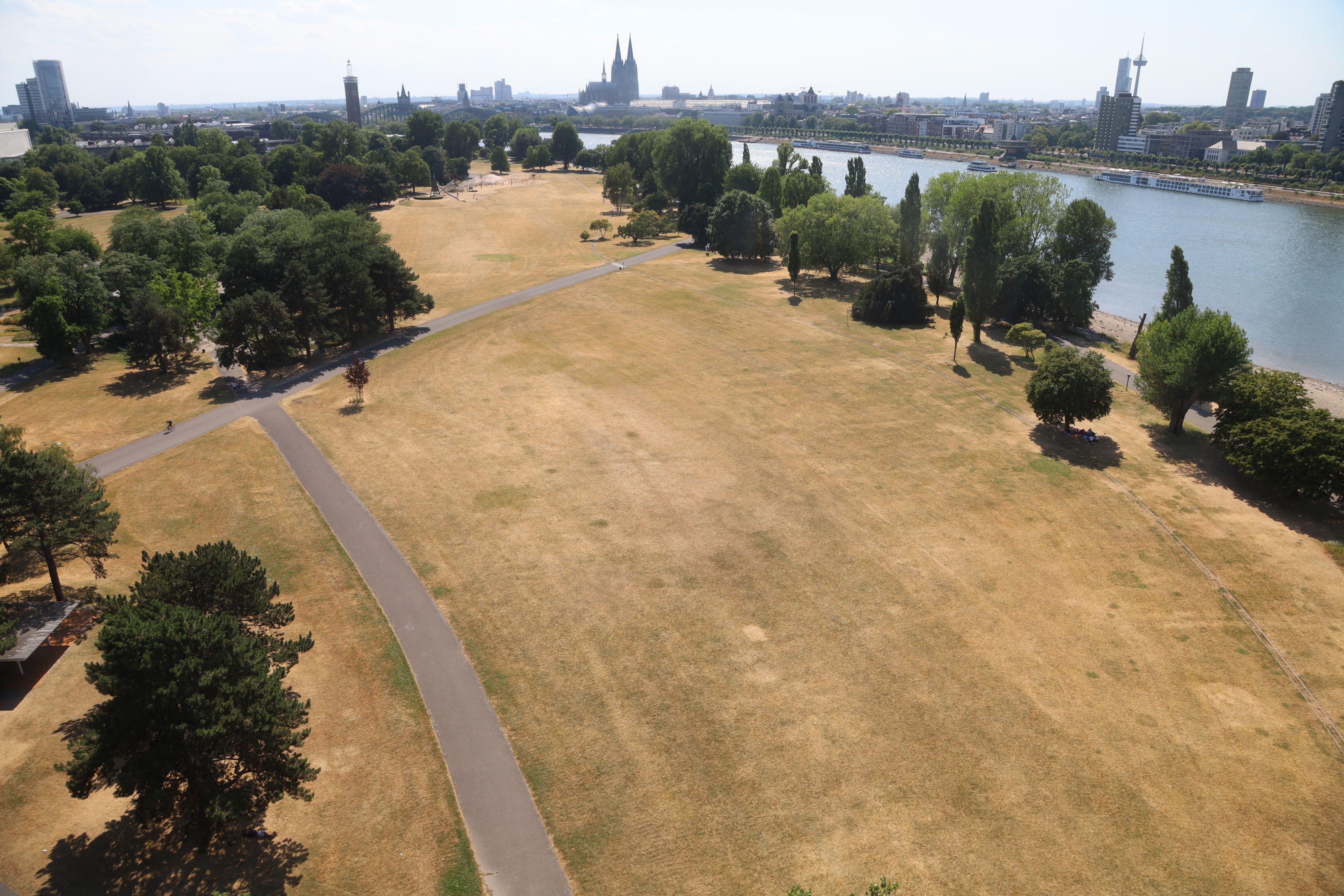 Bei bis zu 37 Grad wird enorme Trockenheit befürchtet. Der Rhein verliert Wasser und die Parks werden gelblicher.