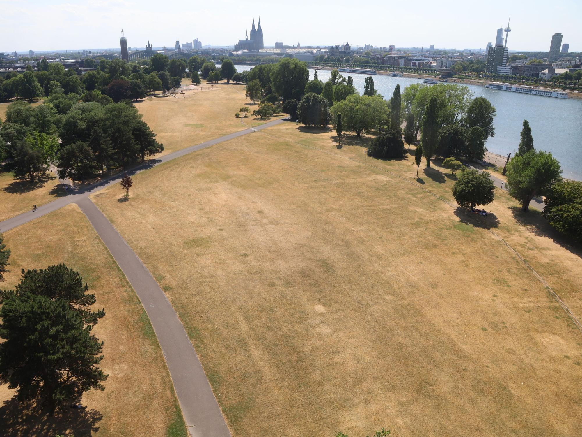 Bei bis zu 37 Grad wird enorme Trockenheit befürchtet. Der Rhein verliert Wasser und die Parks werden gelblicher.