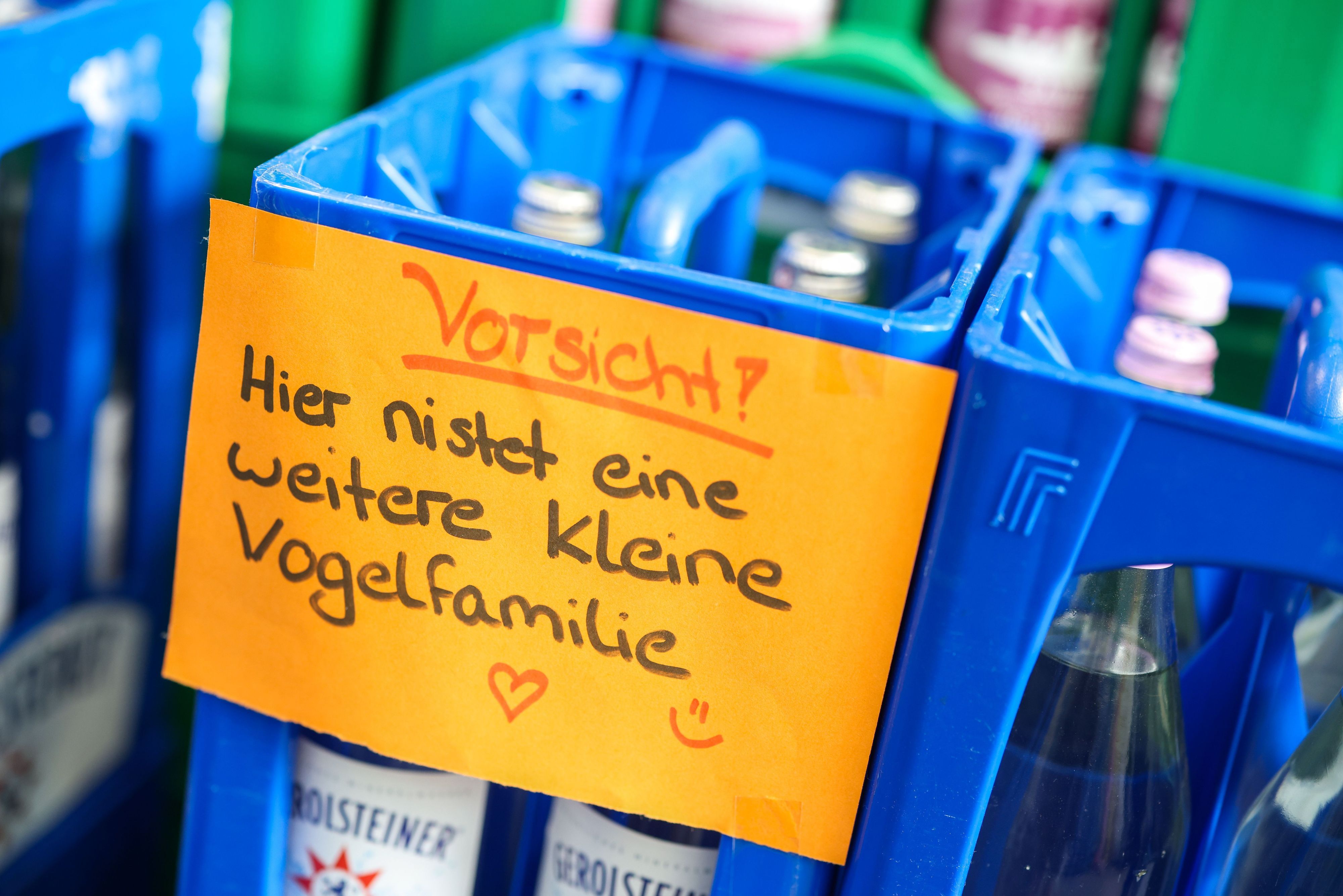 Ein Schild weist auf die nistende Rotkehlchen-Vogelfamilie hin.
