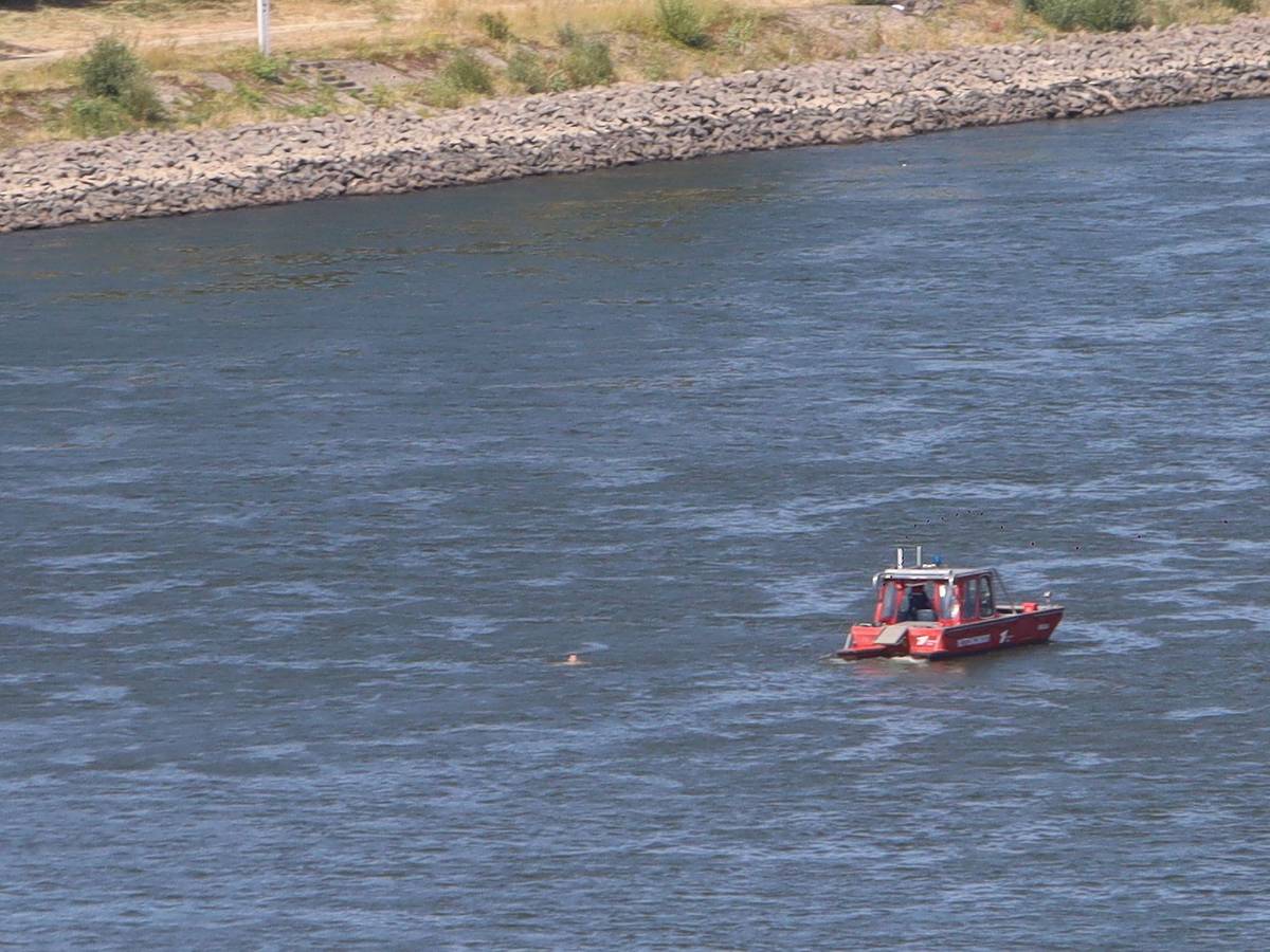 Eine Person schwimmt im Rhein, wenige Meter von einem Boot entfernt.