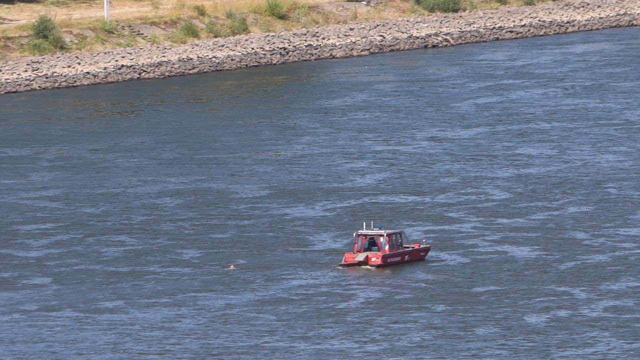 Eine Person schwimmt im Rhein, wenige Meter von einem Boot entfernt.
