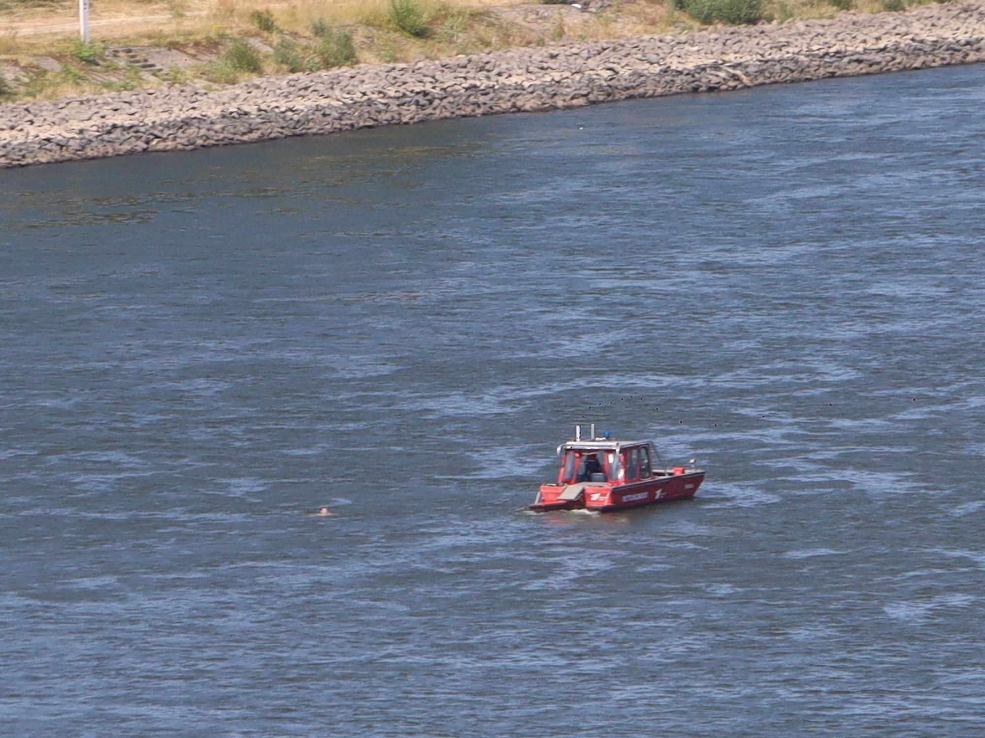 Eine Person schwimmt im Rhein, wenige Meter von einem Boot entfernt.