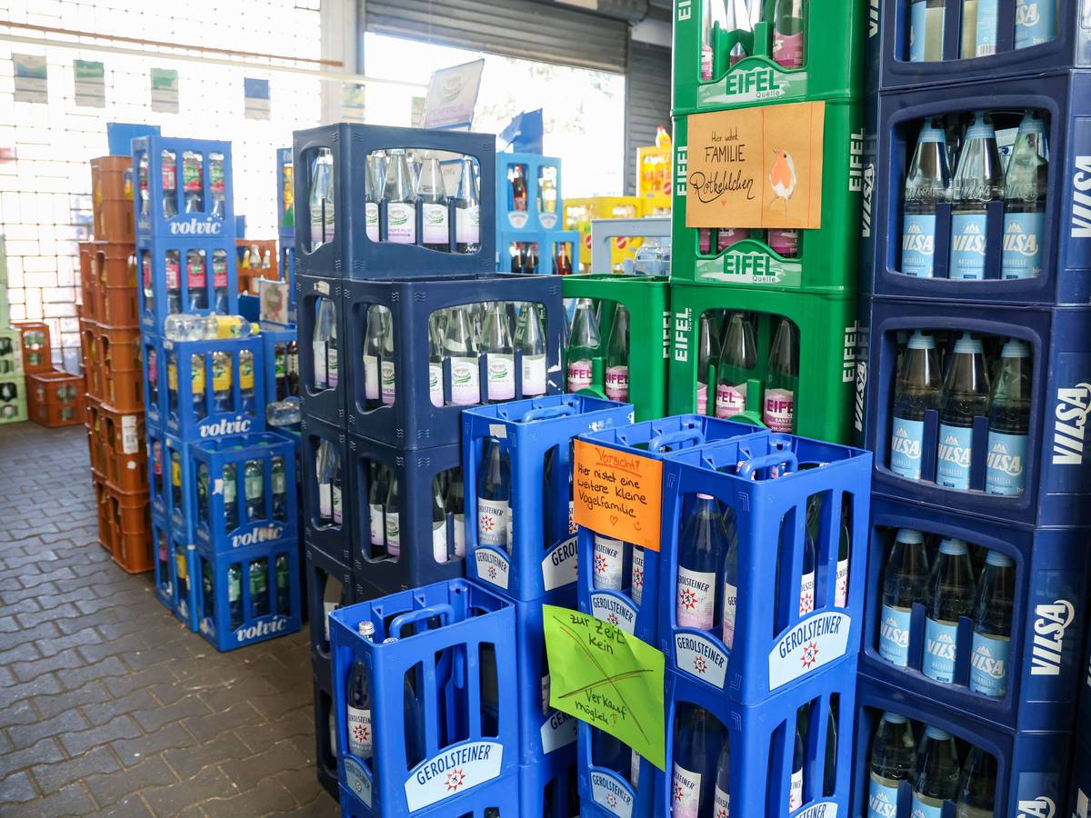 Inmitten von Getränkekästen nisten die drei Rotkehlchen-Jungtiere in einem Getränkemarkt in Bottrop.