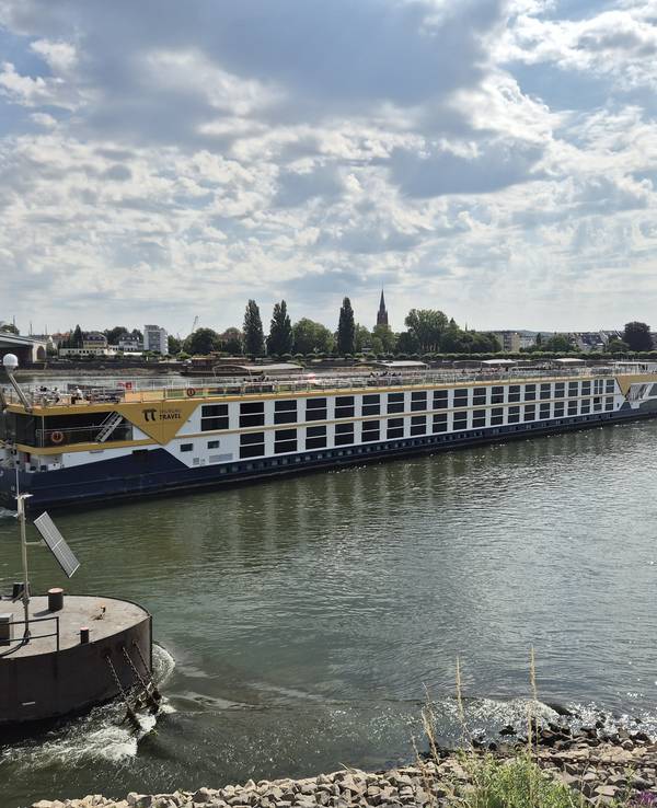 Das Schiff Thurgau Gold liegt quer auf dem Rhein auf einer Sandbank auf.