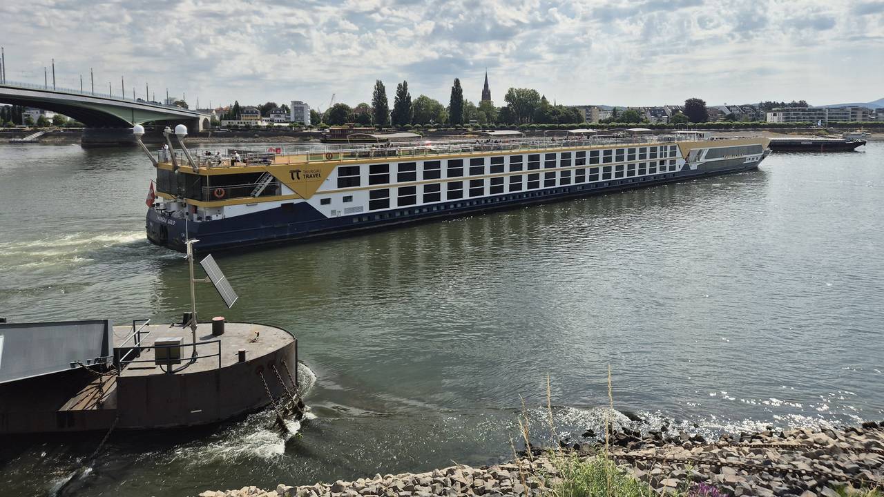 Das Schiff Thurgau Gold liegt quer auf dem Rhein auf einer Sandbank auf.