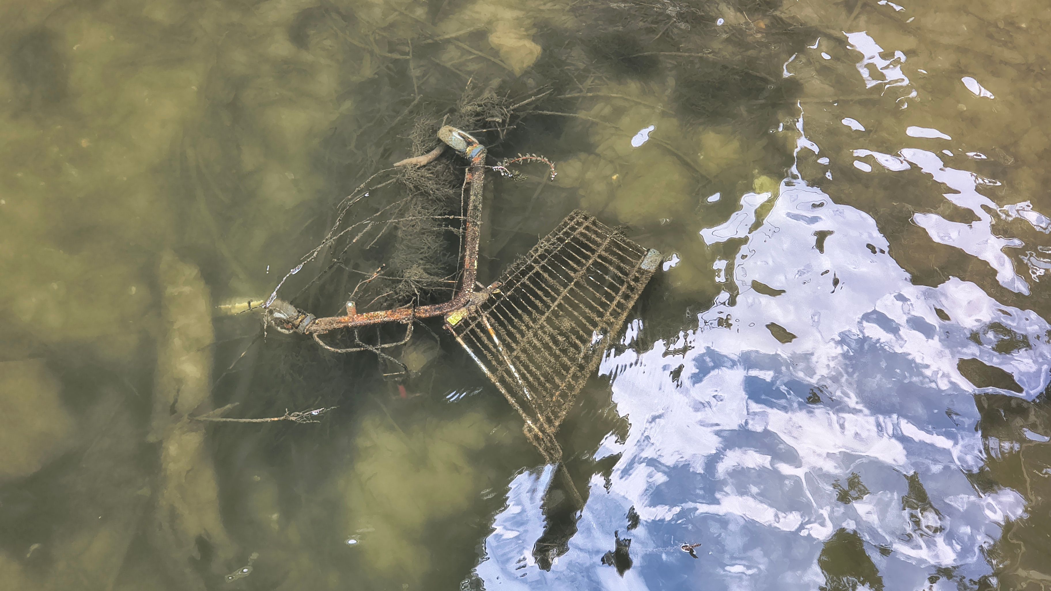 Auch dieser Einkaufswagen wurde im Rhein gesichtet.