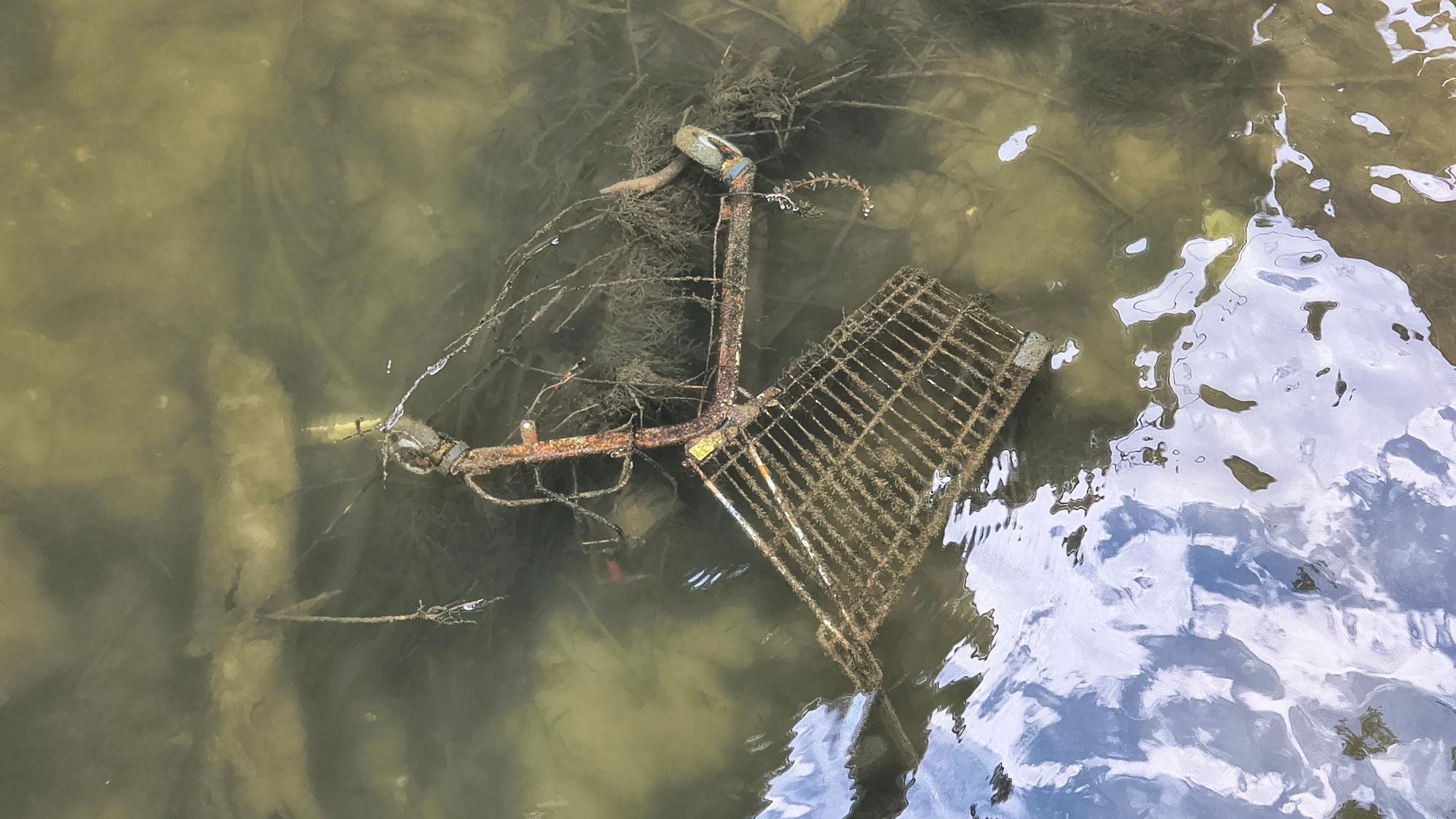 Auch dieser Einkaufswagen wurde im Rhein gesichtet.