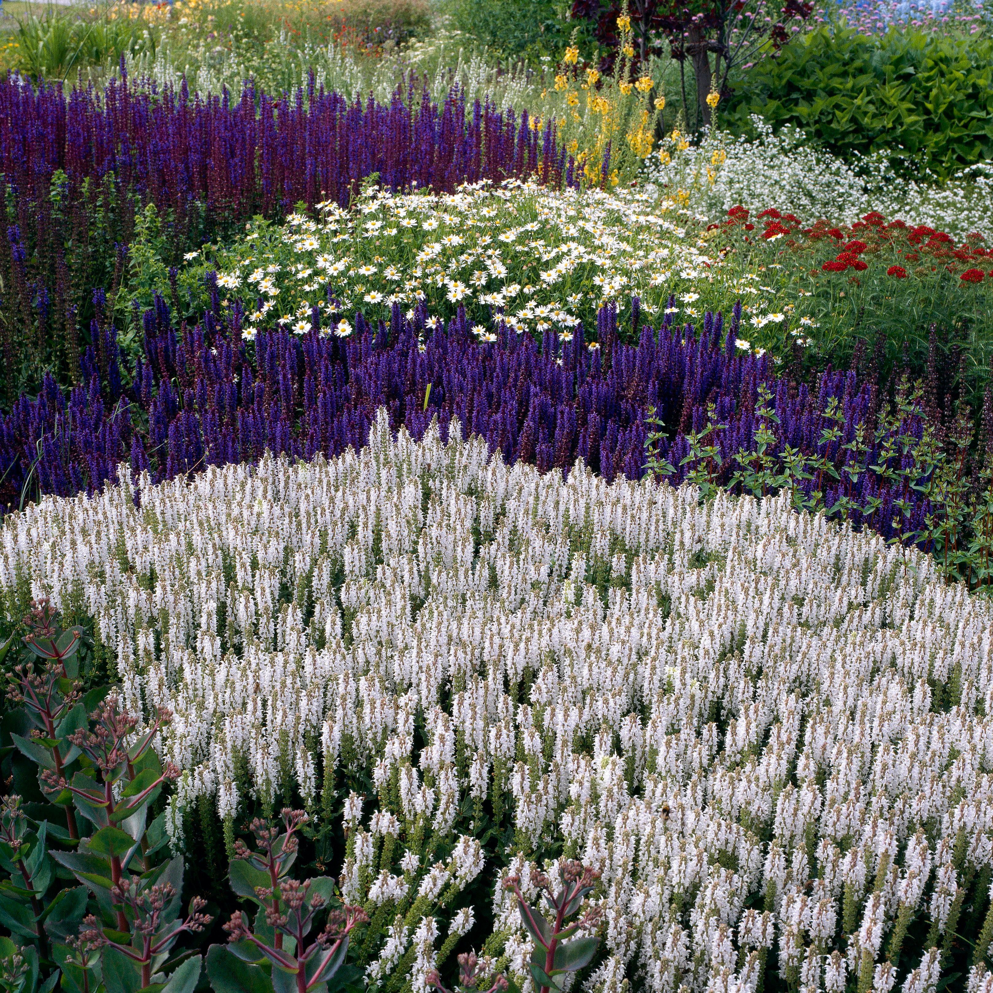 Ein prachtvoller Staudengarten