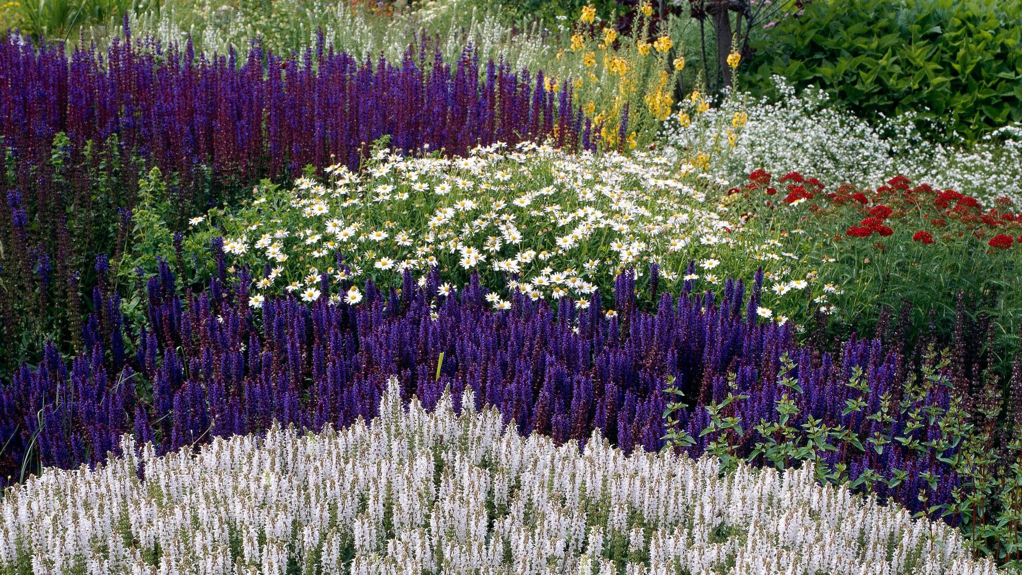 Ein prachtvoller Staudengarten