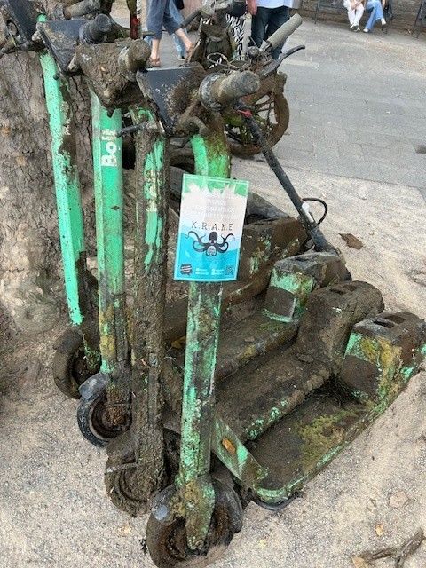 Auch einige E-Scooter wurden aus dem Rhein gesammelt.