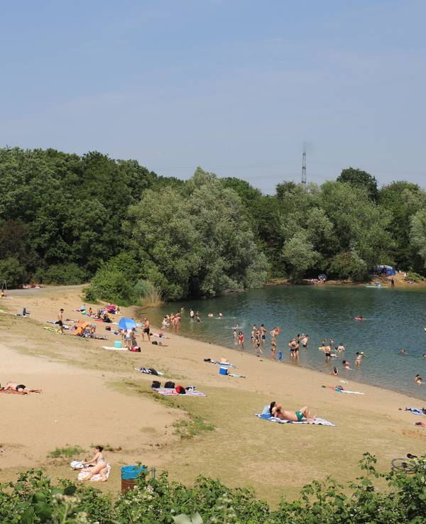 Menschen liegen am Ufer des Rotter Sees, andere plantschen im Wasser.