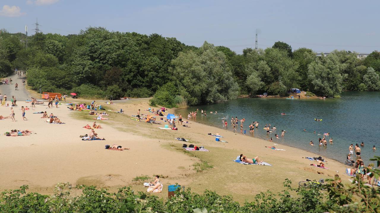 Menschen liegen am Ufer des Rotter Sees, andere plantschen im Wasser.