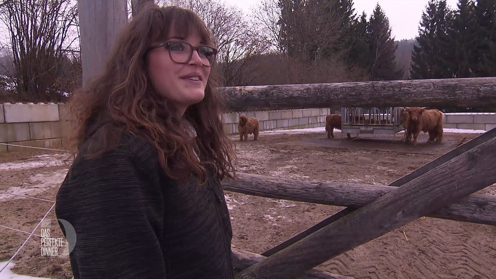 Die schottischen Hochlandrinder liegen Lena besonders am Herzen.
 (Bild: RTL)