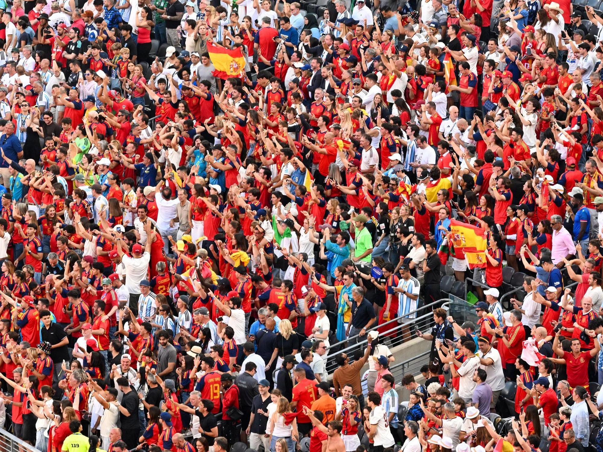 Spanische Fans verfolgen das WM-Finale im Met-Life Stadion in East Rutherford (USA).