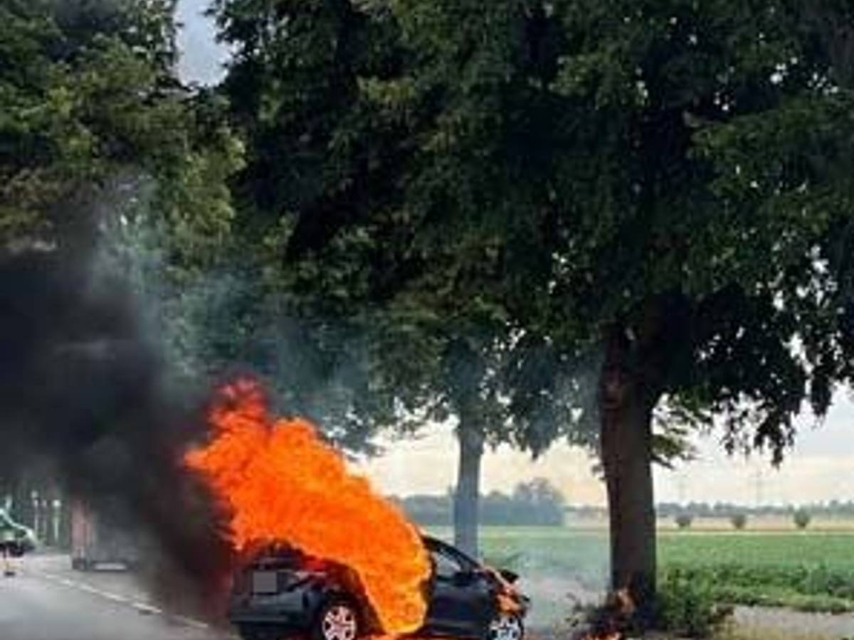 Ein ausgebranntes Auto an einem Baum nach einem Unfall auf der B264 bei Kerpen.