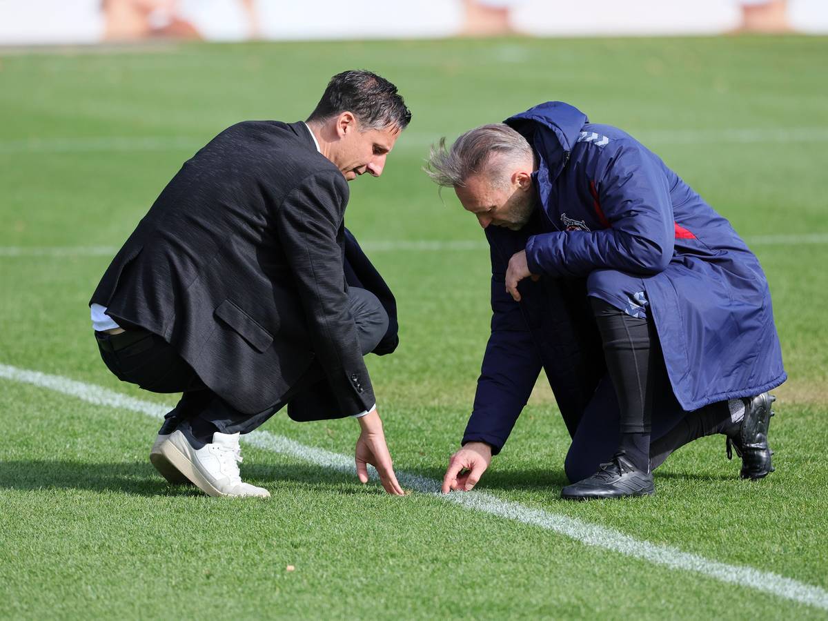 Christian Keller und Uwe Gosporadek beim Rasen-Check im Training des 1. FC Köln.