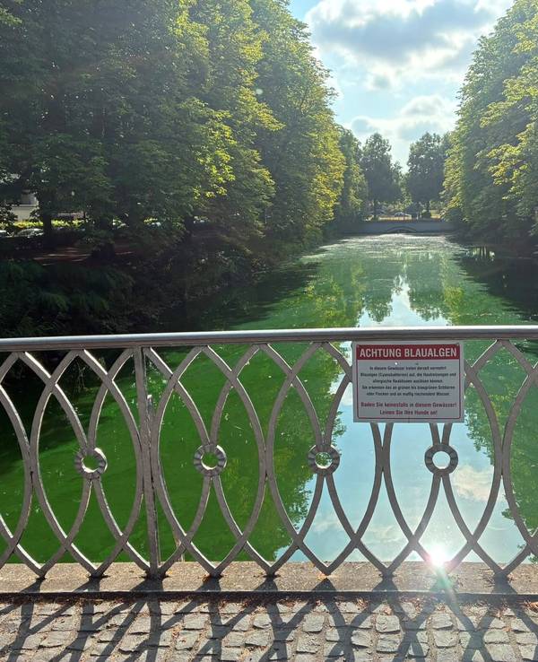 Ein Schild weist auf die Gefahr durch Blaualgen am Clarenbachkanal hin.