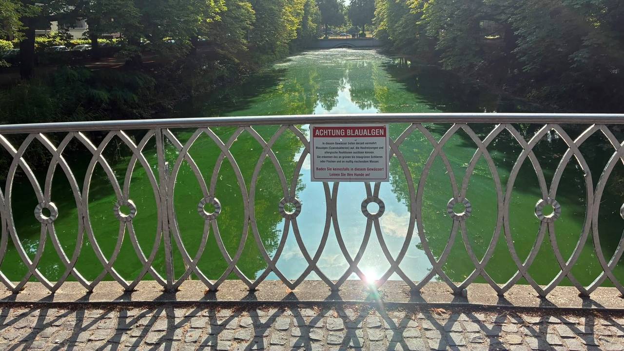 Ein Schild weist auf die Gefahr durch Blaualgen am Clarenbachkanal hin.