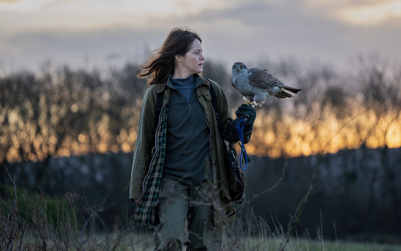 Helen (Claire Foy) legt sich nach dem Tod ihres Vaters einen Habicht zu, einen der „wildesten und verrücktesten“ Vögel überhaupt. (Bild: DCM/2025 Protagonist Hawk Limited, Saturnia Llc And Channel Four Television Corporation. All Rights Reserved)