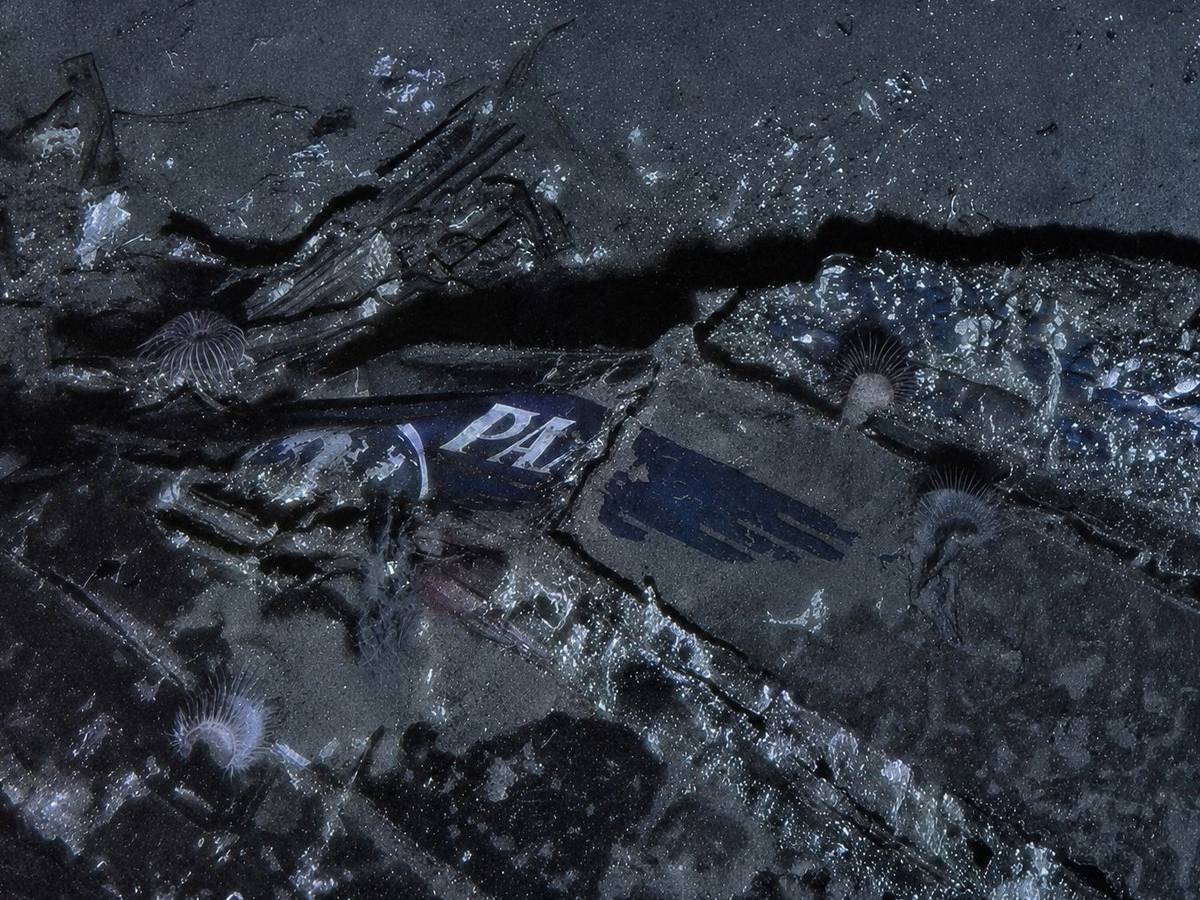 Dieses zusammengesetzte Bild, das von der Air/Sea Heritage Foundation und Deep Sea Vision zur Verfügung gestellt wurde, zeigt ein Logo der Pan American World Airways am Bug des Wracks der „Clipper Endeavor“. Das Wrack der Maschine wurde nach mehr als 70 Jahren gefunden.
