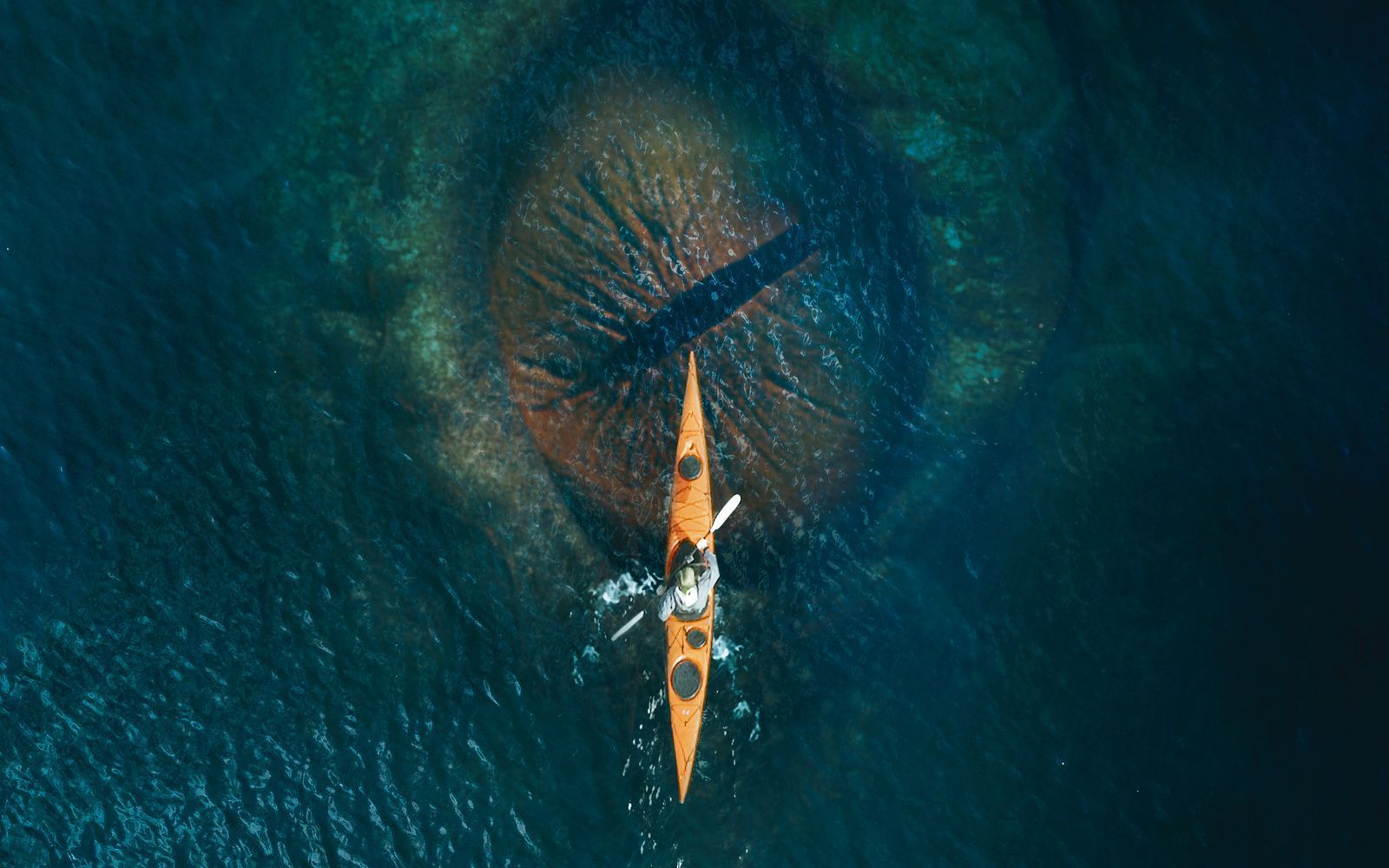 Wer ohnehin schon Angst vor großen Gewässern hat, sollte den Film „Kraken - Erwachen der Tiefe“ vielleicht besser nicht sehen. (Bild: Splendid FIlm)