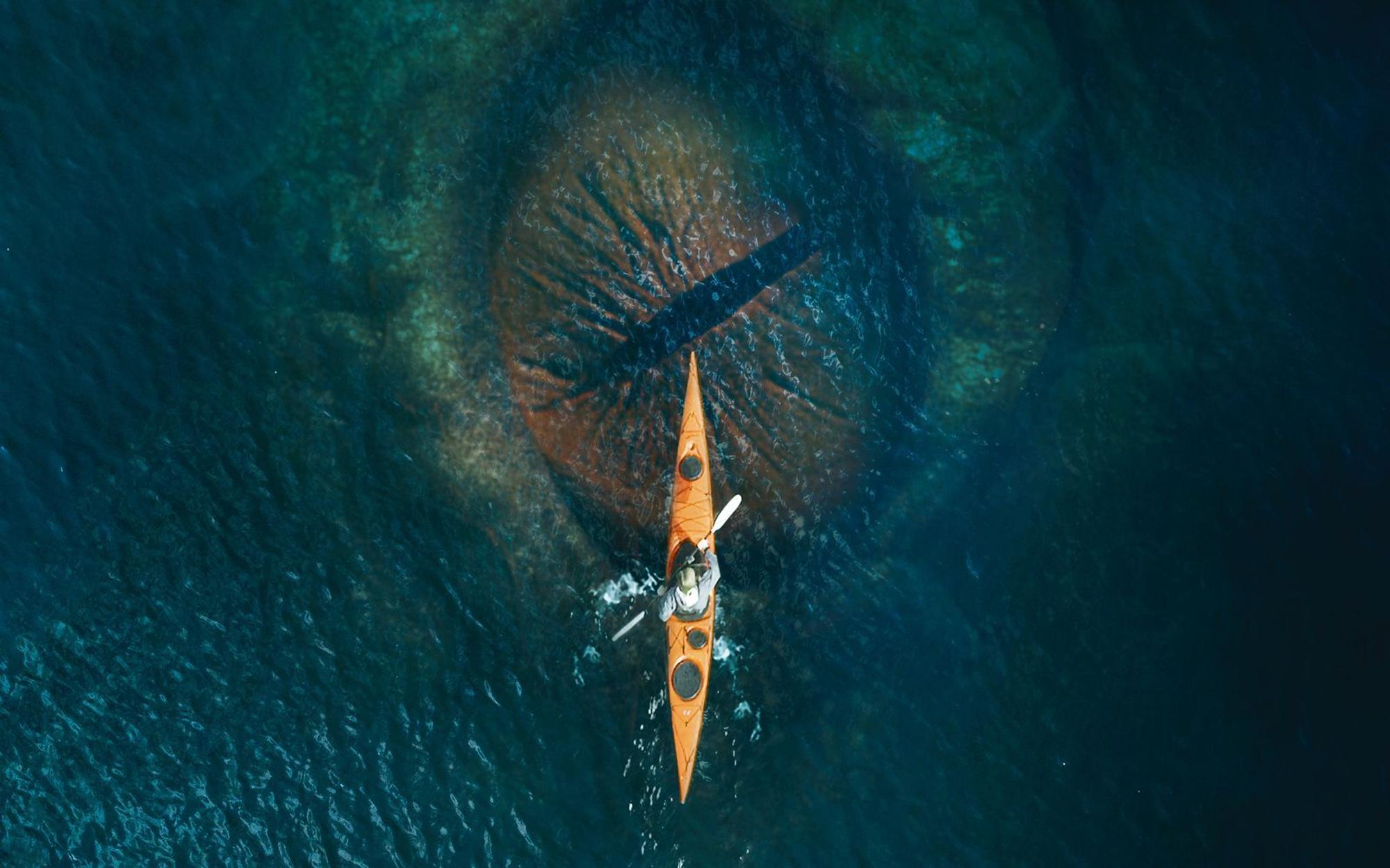 Wer ohnehin schon Angst vor großen Gewässern hat, sollte den Film „Kraken - Erwachen der Tiefe“ vielleicht besser nicht sehen. (Bild: Splendid FIlm)