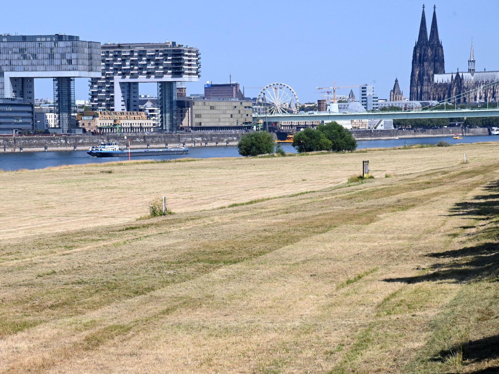 Trockene Grünflächen in Köln.