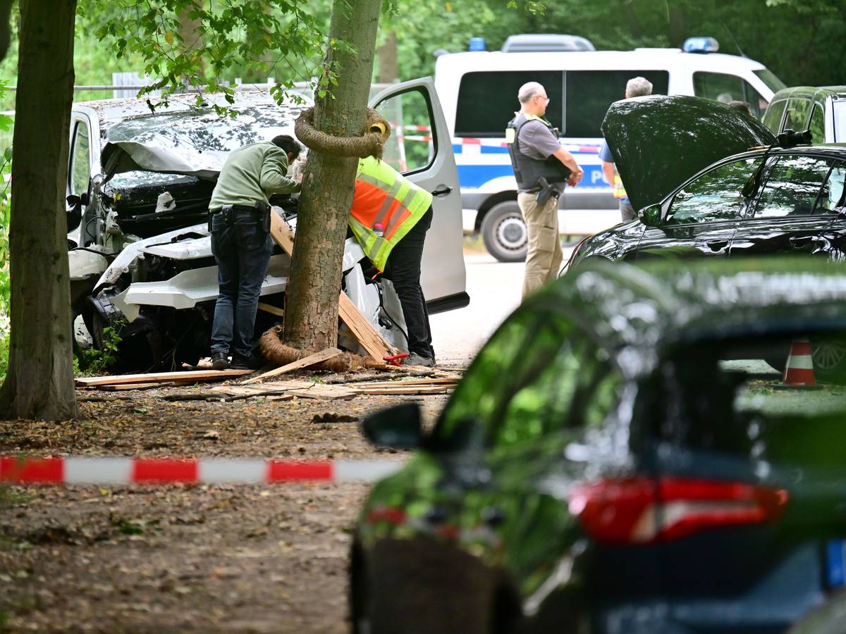 Ein Mitarbeiter der Unfallforschung betrachtet ein Fahrzeug, das in einen Baum im Bereich des Tiergartens gefahren ist.