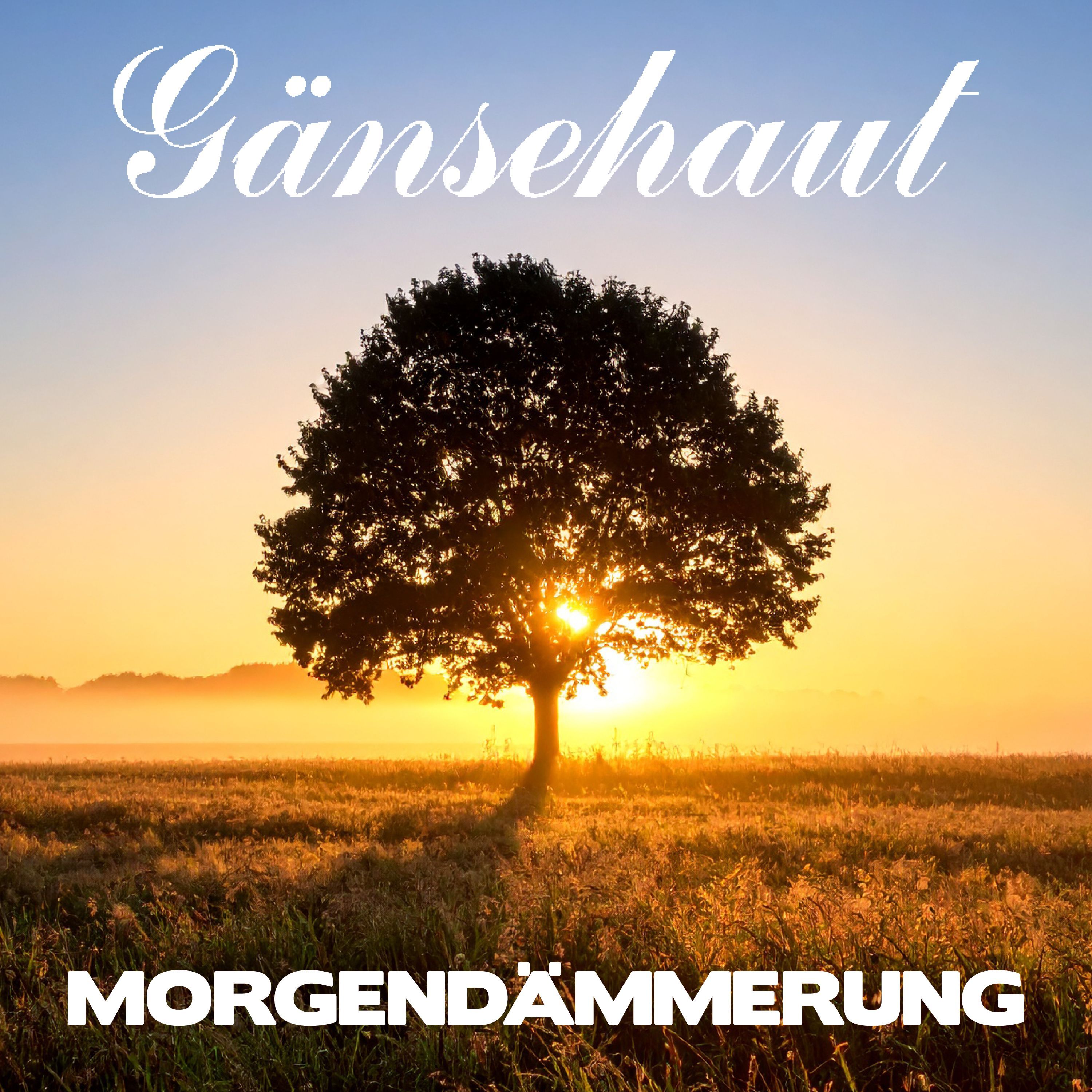 Cover des Gänsehaut-Albums „Morgendämmerung“.