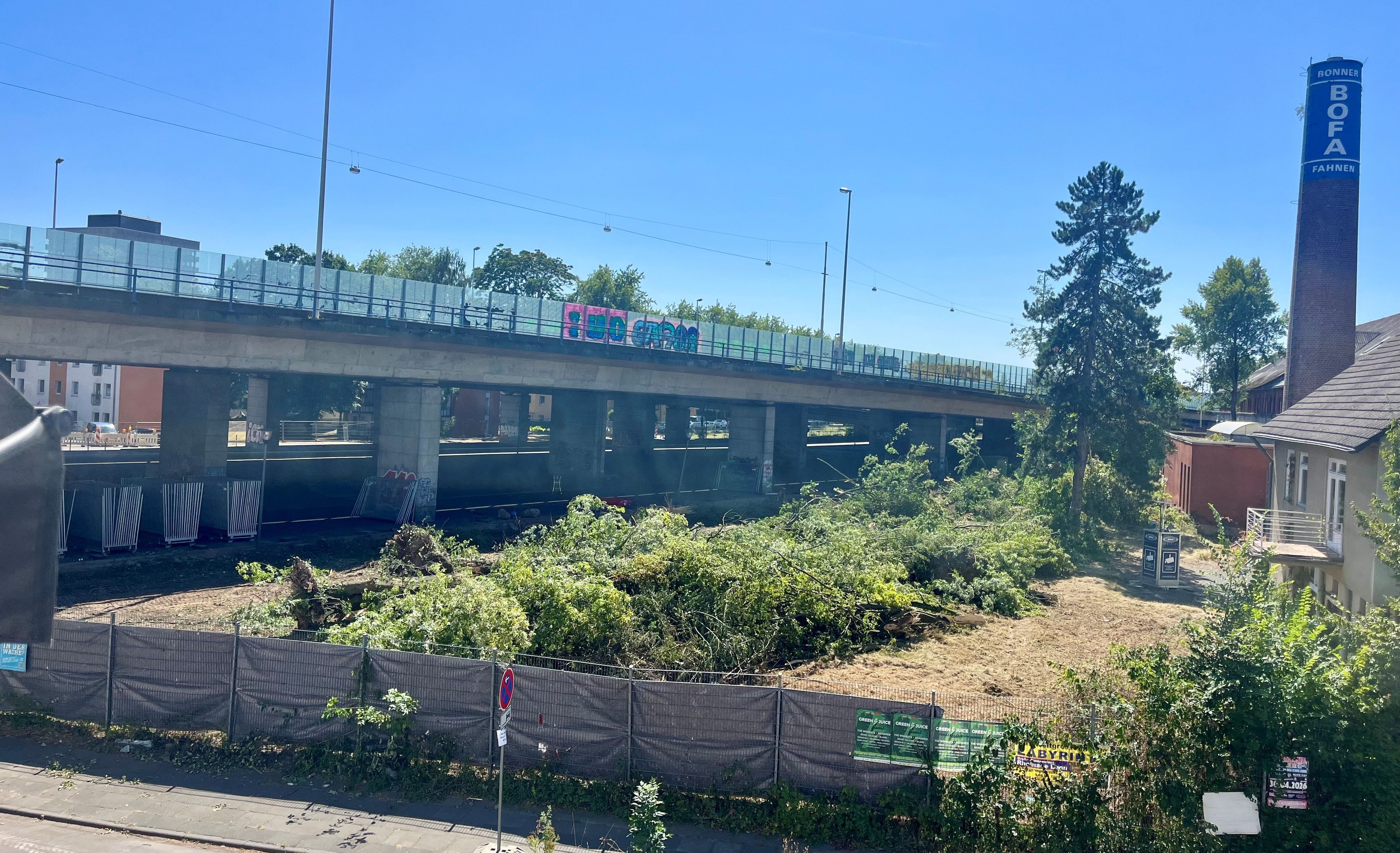 Auf einem Gelände neben einer Brücke liegen gefällte Bäume.