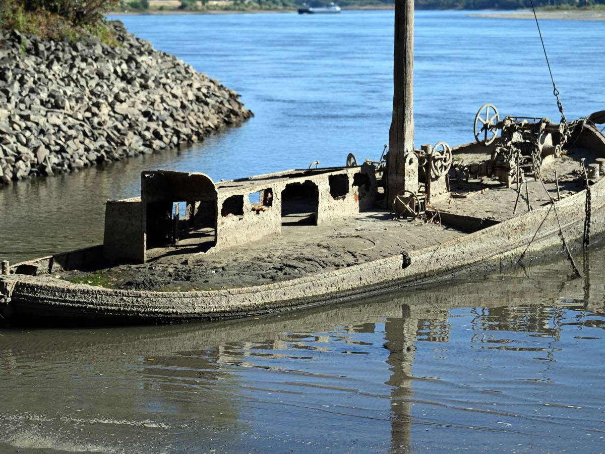 Ein Schiffswrack ist am Rhein zu sehen.