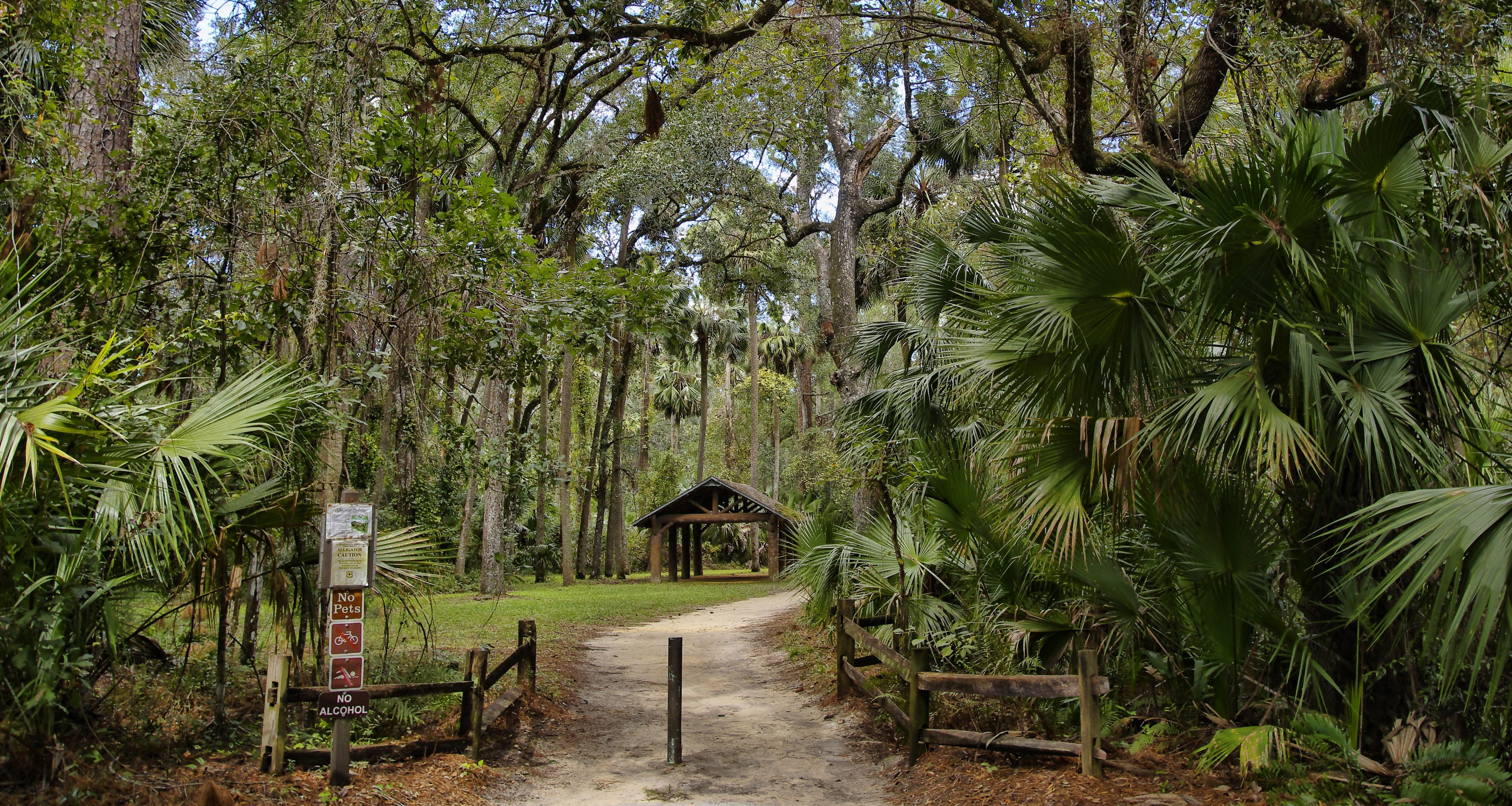 Juniper Springs im Ocala National Forest in Florida.