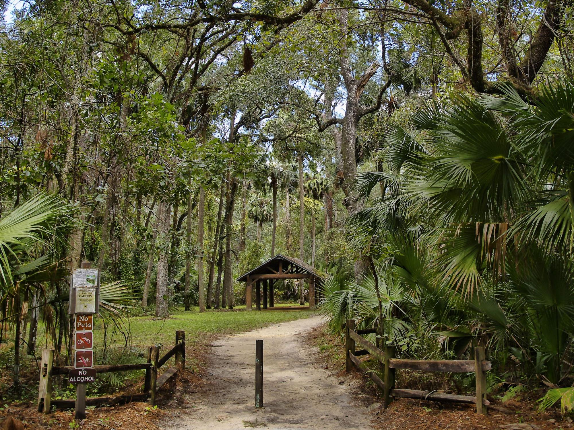 Juniper Springs im Ocala National Forest in Florida.