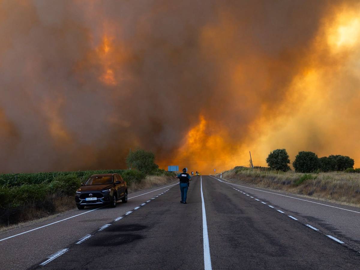 Dichter Rauch ist während eines Waldbrandes am Rande einer Landstraße zu sehen. Im Naturpark Arribes del Duero in Fermoselle brach im Gebiet El Picón an den Hängen des Flusses Tormes ein Waldbrand der Stufe 2 aus.