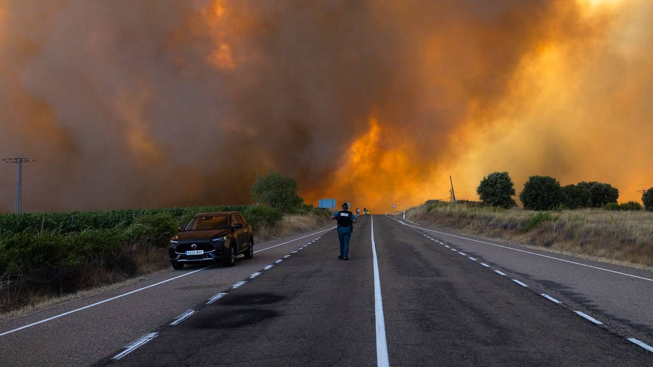 Dichter Rauch ist während eines Waldbrandes am Rande einer Landstraße zu sehen. Im Naturpark Arribes del Duero in Fermoselle brach im Gebiet El Picón an den Hängen des Flusses Tormes ein Waldbrand der Stufe 2 aus.