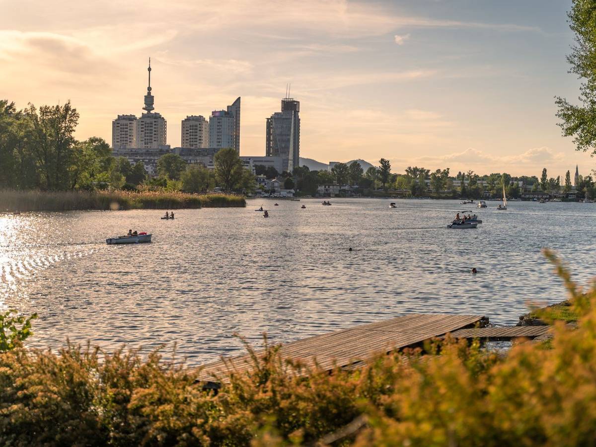 Als stehendes Gewässer ist die Alte Donau besonders anfällig. (Bild: iStock/Dejan Gjoshevski)