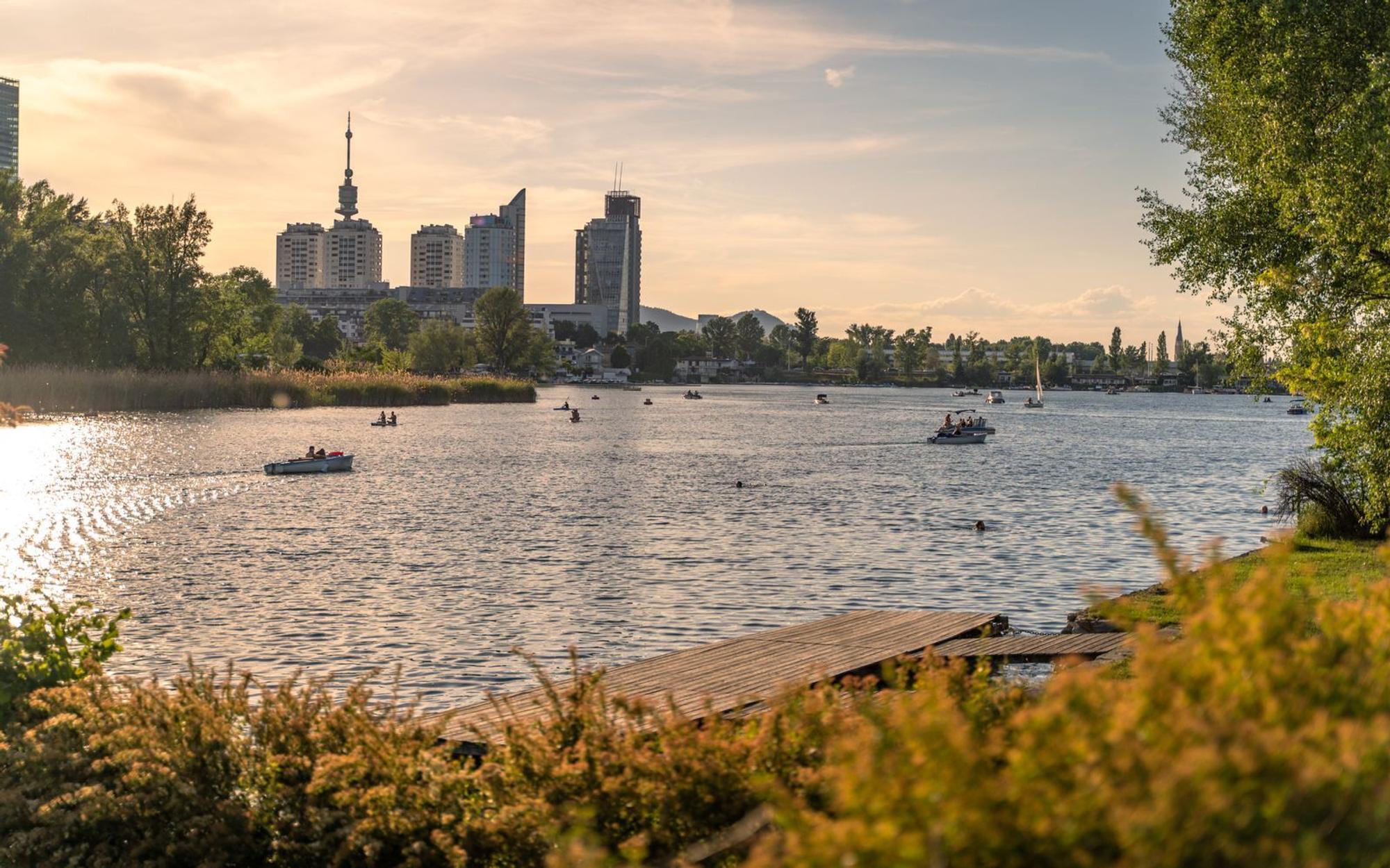 Als stehendes Gewässer ist die Alte Donau besonders anfällig. (Bild: iStock/Dejan Gjoshevski)