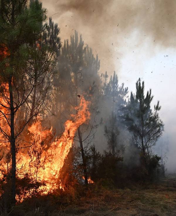 Waldbrände in Frankreich